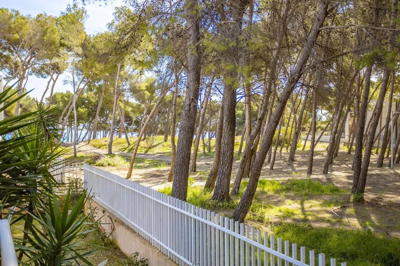 Pinos Playa Apartment Port de Alcudia   Port de Alcudia (Mallorca)